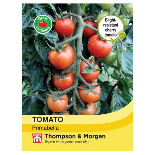 T&M Tomato Primabella